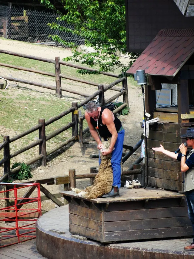 7 Special Experiences on Qingjing Farm, the Mini Switzerland in Taiwan