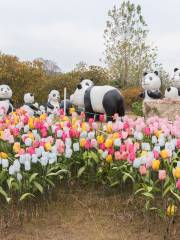 The Flower Expo Park of Bangbu