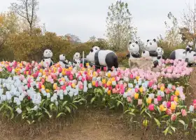 The Flower Expo Park of Bangbu