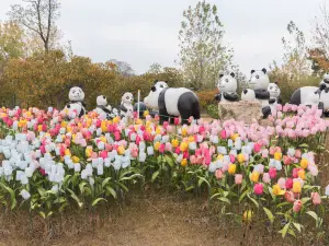 The Flower Expo Park of Bangbu