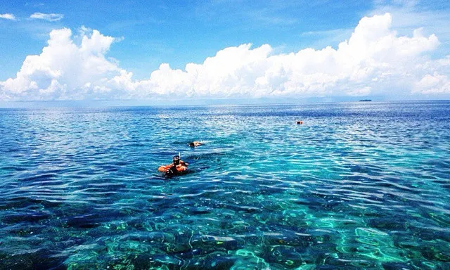 Swim in God's Aquarium. Its Actually Very Easy to Choose The Right Island for You to go Diving!