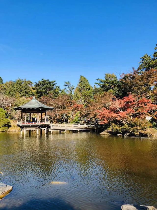 成田山公園景點 成田市旅遊評論 旅行指南 Trip Com 成田山公園景點 成田市旅遊評論 旅行指南 Trip Com