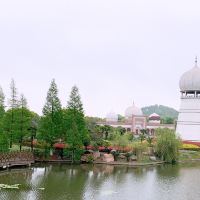 評論圖片 4
