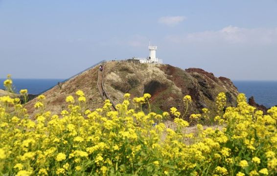 Top 10 must-See Attractions on Jeju Island travel notes and guides