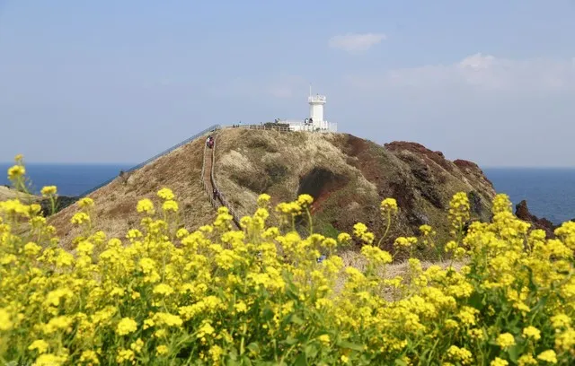 Top 10 must-See Attractions on Jeju Island