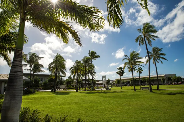 Honolulu Museum of Art: A Must Visit for Culture Lovers