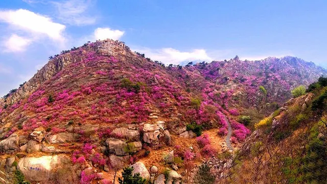 Qingdao Xihai’an: Scale Mountains, Admire the Sea, and Stroll Down Qin Shi Huang’s Imperial Path