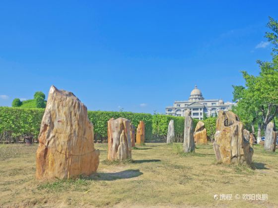 Chinese Rare Stone Museum