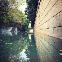 評論圖片 9