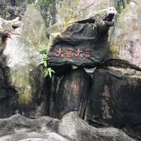 評論圖片 6