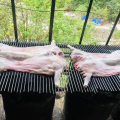 岭上人家聚会楼阁烤全羊 User Photo