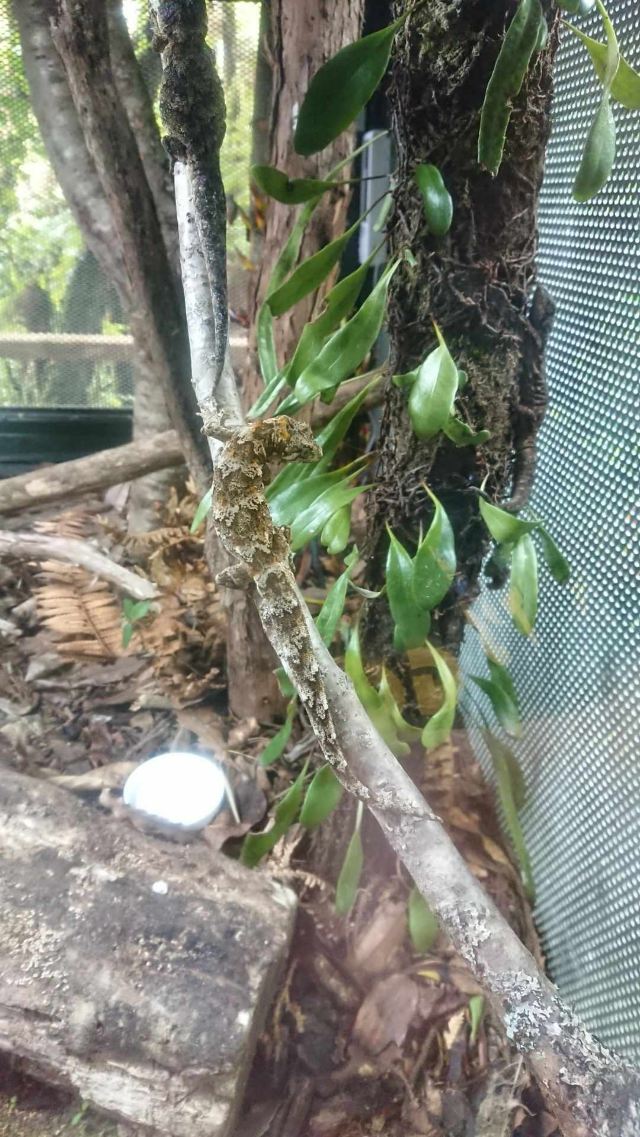 彩虹泉自然公園