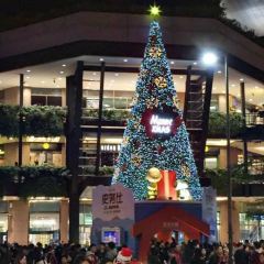 春水堂人文茶館（台北信義店）張用戶圖片