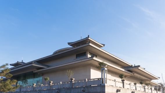 【入場門票必出】陝西考古博物館|西安碑林博物館|西安博物院+大咖導覽講解|西安交通大學（售罄可約）