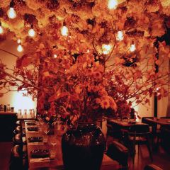 Peking Garden User Photo