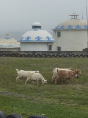 Центр отдыха на степной равнине в Лонгли