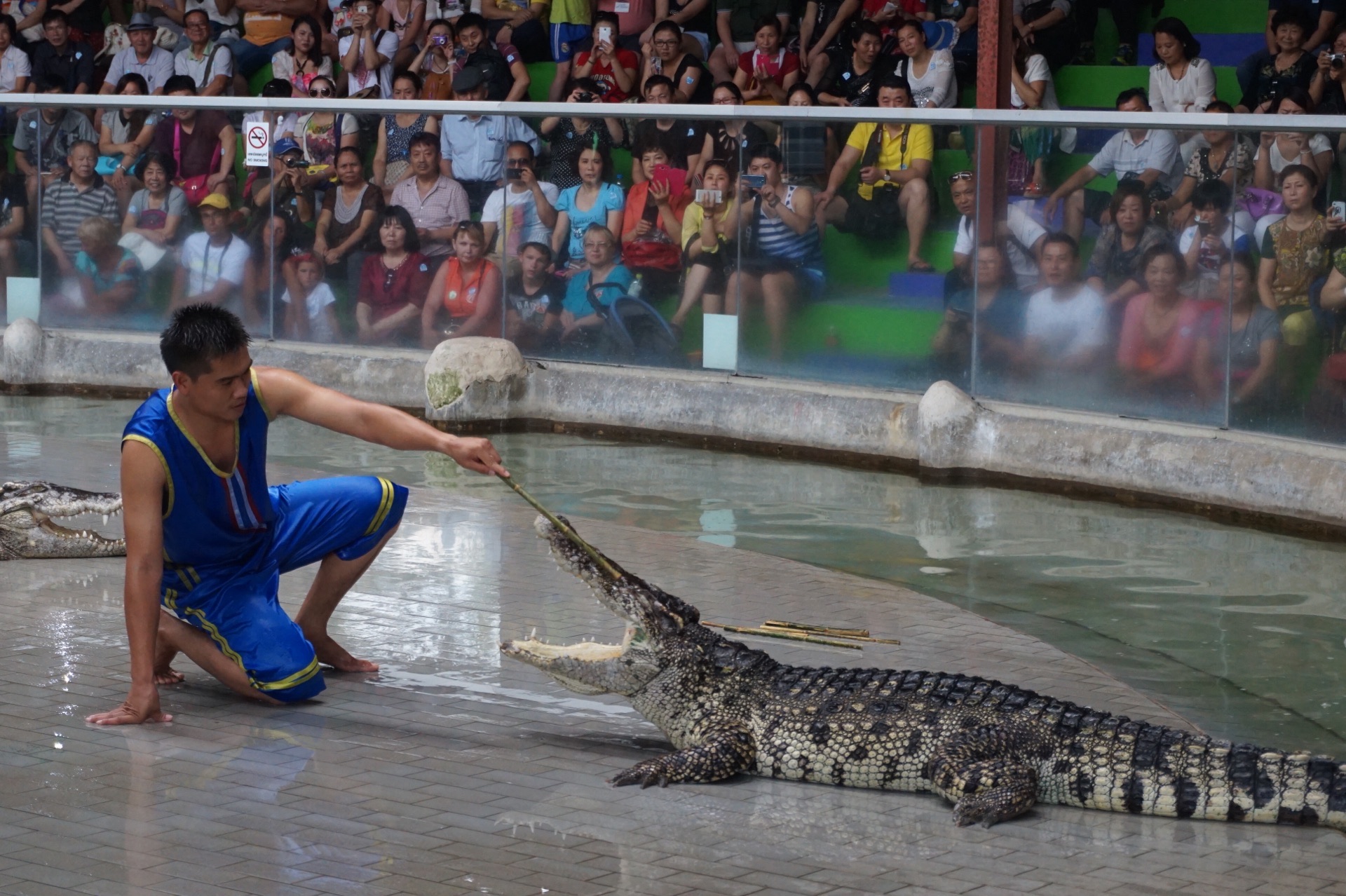 シーラチャー タイガー動物園のレビュー シーラチャー タイガー動物園のチケット シーラチャー タイガー動物園の割引 シーラチャー タイガー動物園の交通機関 所在地 営業時間 シーラチャー タイガー動物園周辺の観光スポット ホテル グルメ Trip Com