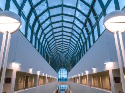 อาร์คติคุม