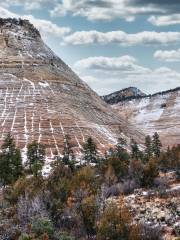 Checkerboard Mesa