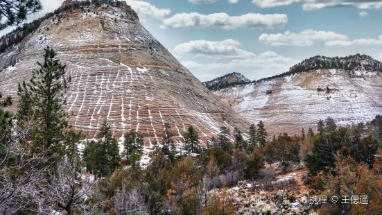 Checkerboard Mesa