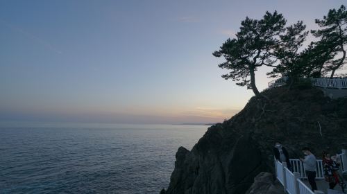 桂浜 かつらはま