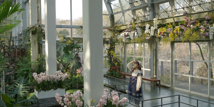 高知県立牧野植物園