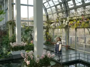 The Kochi Prefectural Makino Botanical Garden