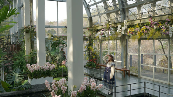 The Kochi Prefectural Makino Botanical Garden
