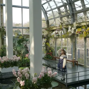 高知県立牧野植物園