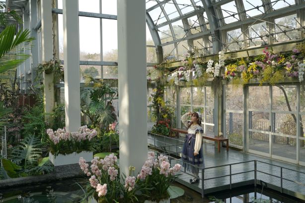 The Kochi Prefectural Makino Botanical Garden