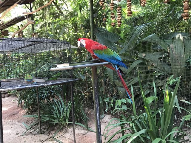 Birds Park