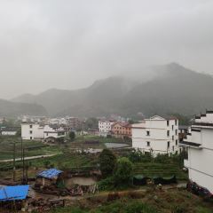 大金山土菜馆 User Photo