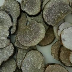 Snow mountain clouds wild mushrooms 여행 사진