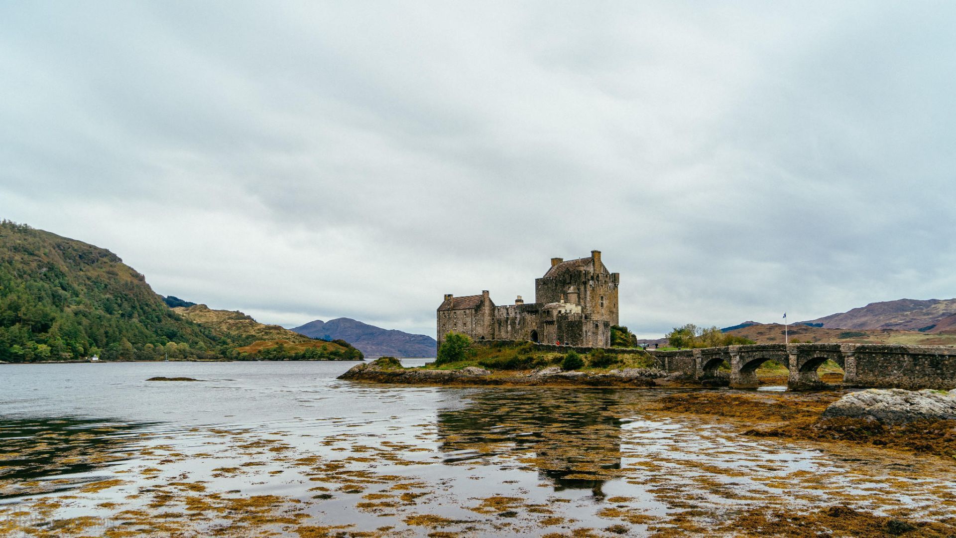 Scotland Eilean Donan Castle 評判 案内 トリップドットコム Scotland Eilean Donan Castle 評判 案内 トリップドットコム