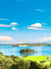 Hauraki Gulf