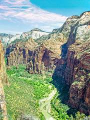 Zion's Main Canyon