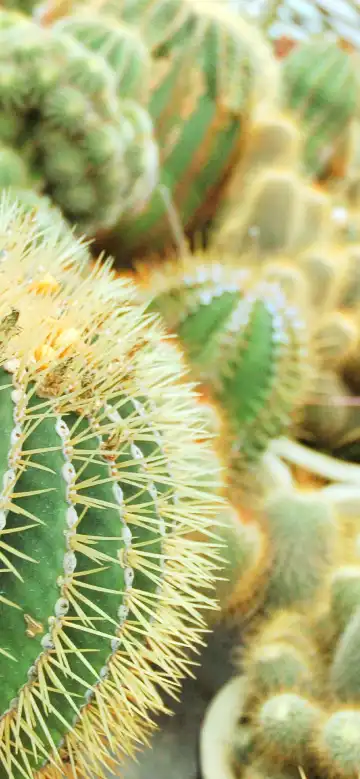 ビンチャンのホテル