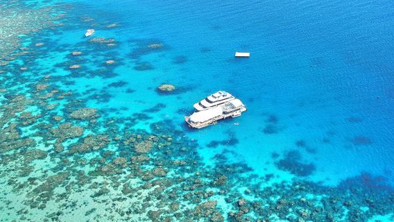 CairnsTours