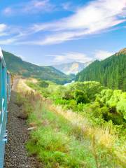 TranzAlpine: Scenic Train Christchurch - Greymouth