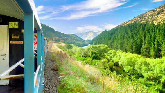 TranzAlpine: Scenic Train Christchurch - Greymouth