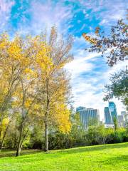 Vista Hermosa Natural Park