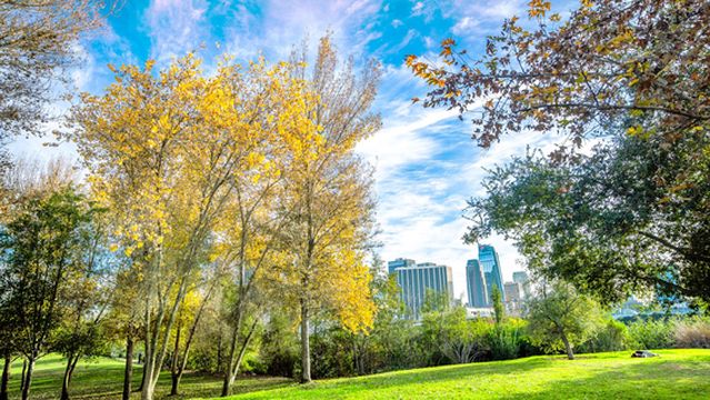 Vista Hermosa Natural Park, Mountains Recreation & Conservation Authority