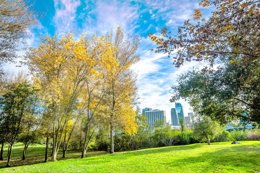 Vista Hermosa Natural Park