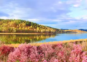 Dahl Lake National Forest Park