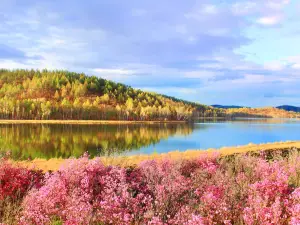 Dahl Lake National Forest Park