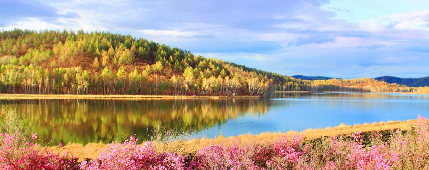 Dahl Lake National Forest Park