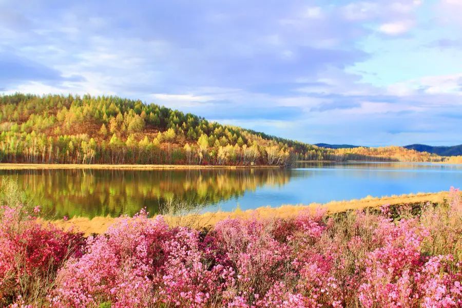 Dahl Lake National Forest Park