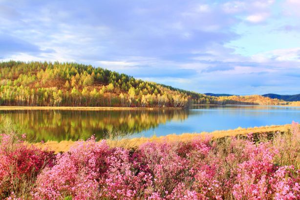 Da'erbin Lake National Forest Park