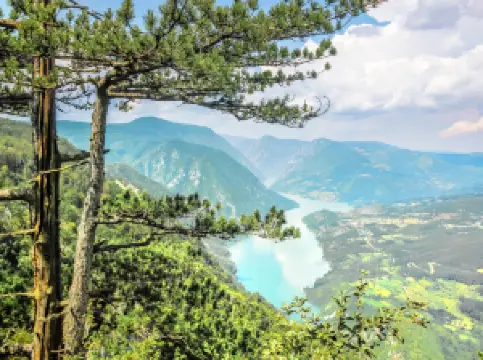 Parco nazionale di Tara