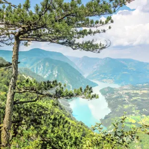 Tara National Park